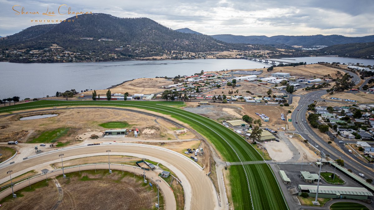 SHARON CHAPMAN tweet media