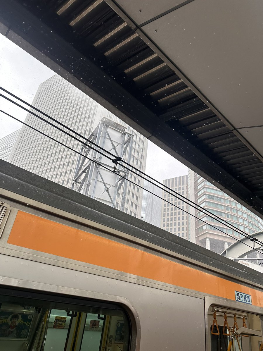 東京駅来たら結構粉雪舞ってる