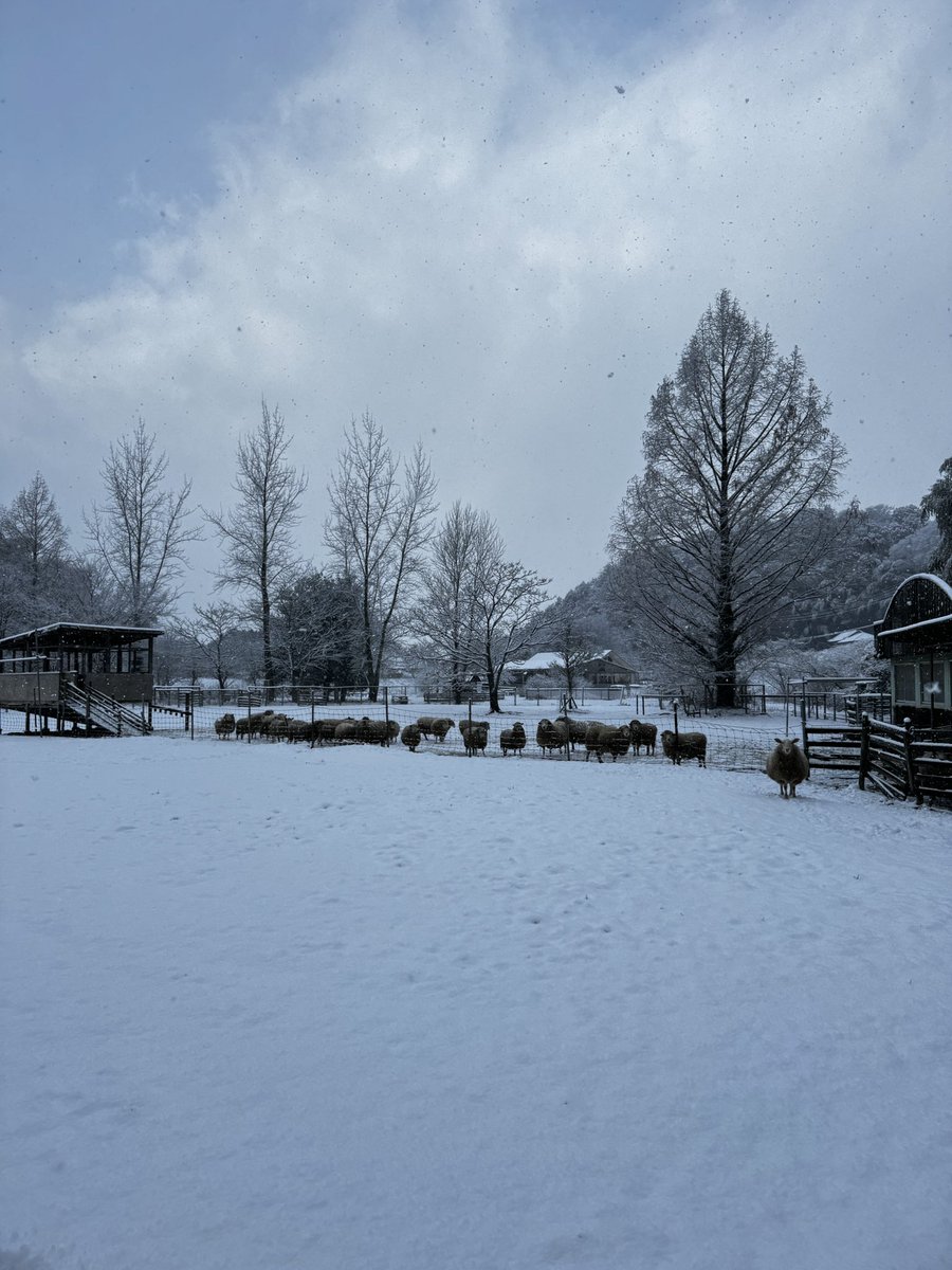 袖ケ浦ふれあいどうぶつ縁 tweet media