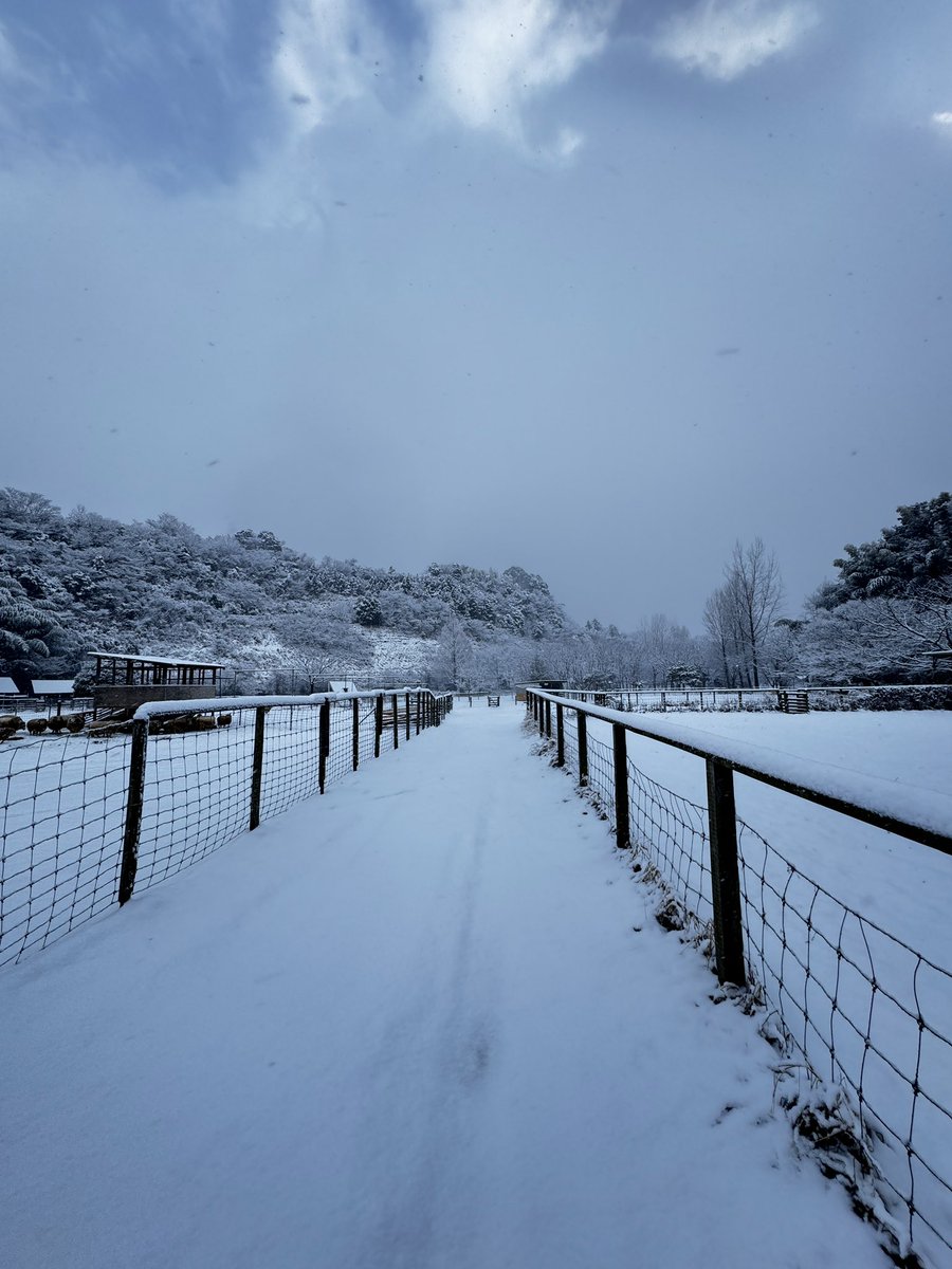 袖ケ浦ふれあいどうぶつ縁 tweet media