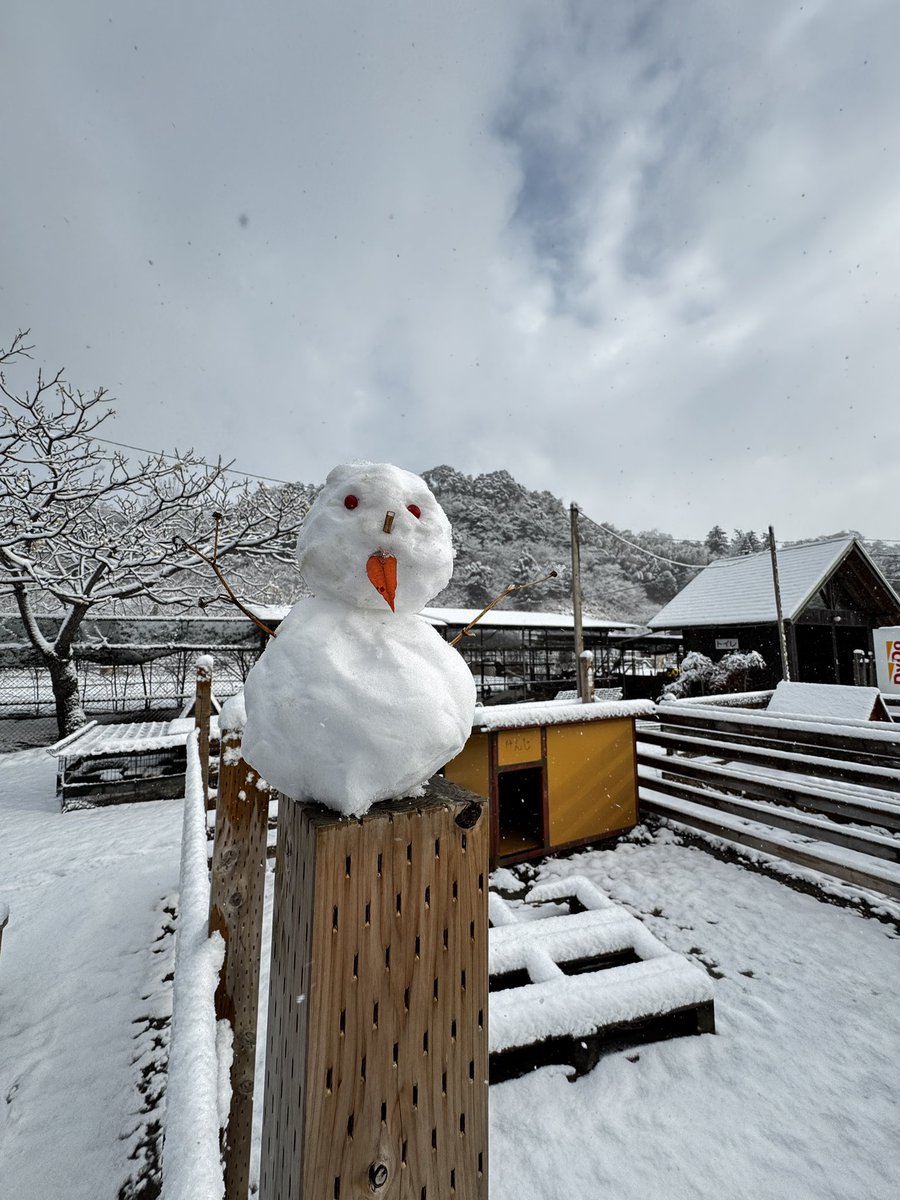 袖ケ浦ふれあいどうぶつ縁 tweet media