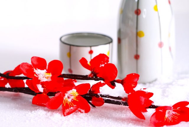 占いサロン順震(原宿当たる占い師5選、ヤフー占い売上No1占い師）1/24