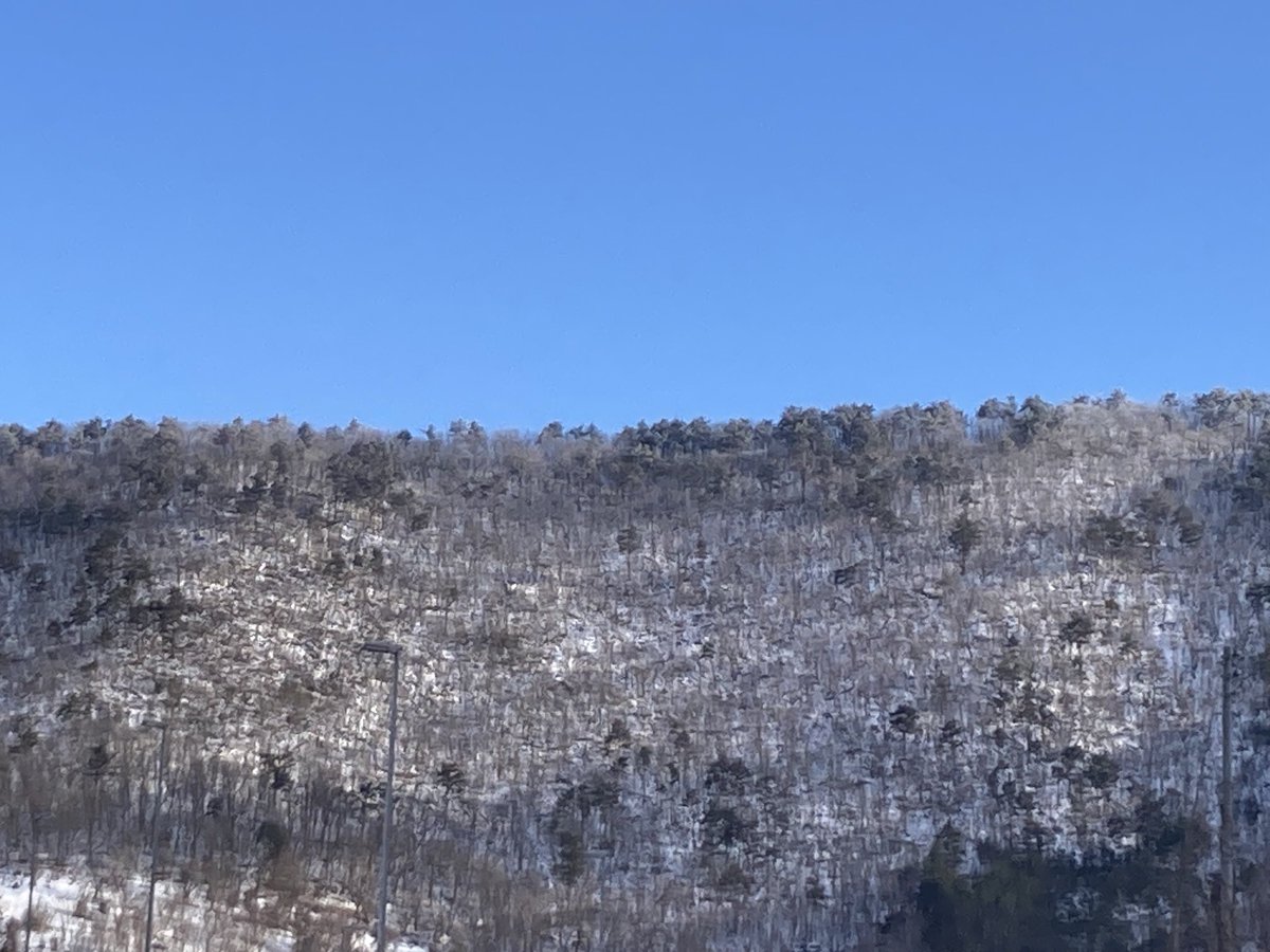 冬型なの？って位の青空。
雪は勿論降ってない。