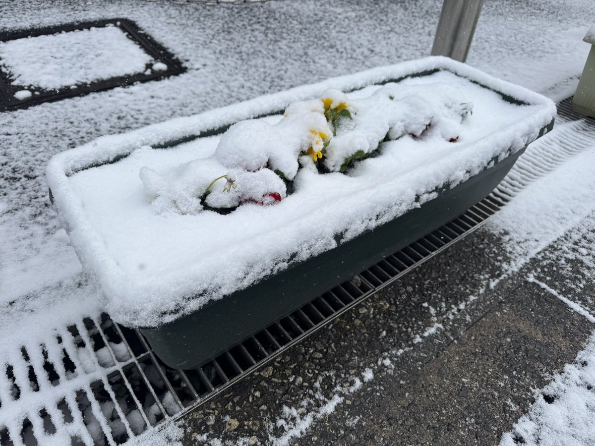 ARiSE COFFEEROASTERS tweet media