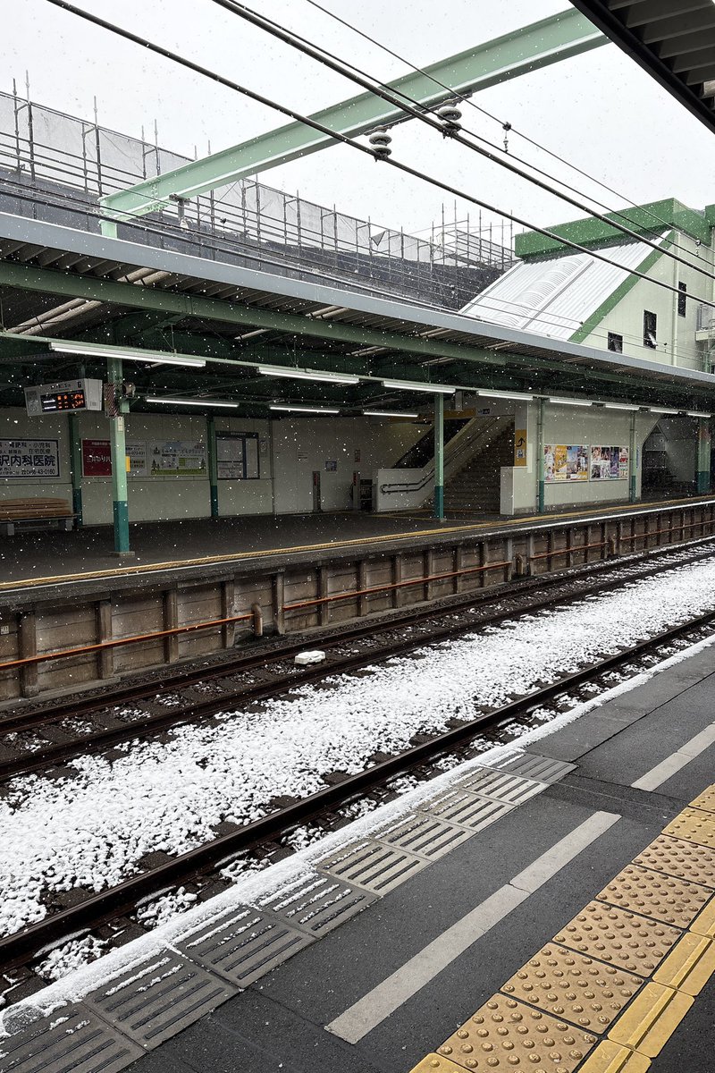 Lin_884_abc's tweet photo. 雪が積もるのなんて何年ぶりだろう？ https://t.co/Ss76EAVZxW