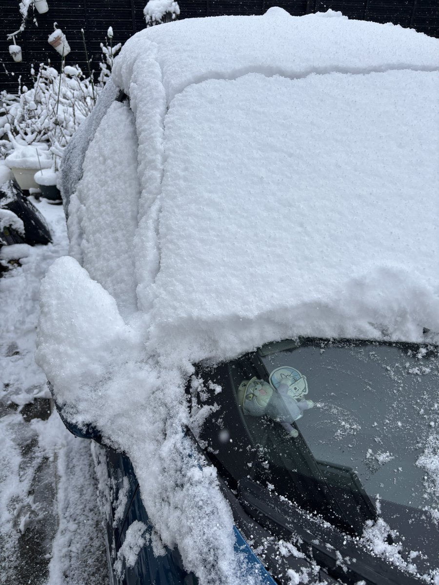 10cmぐらいかな⛄️