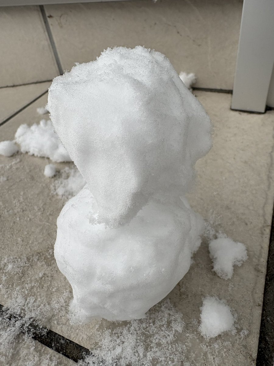 日比野慎也 (SHINYA) tweet media