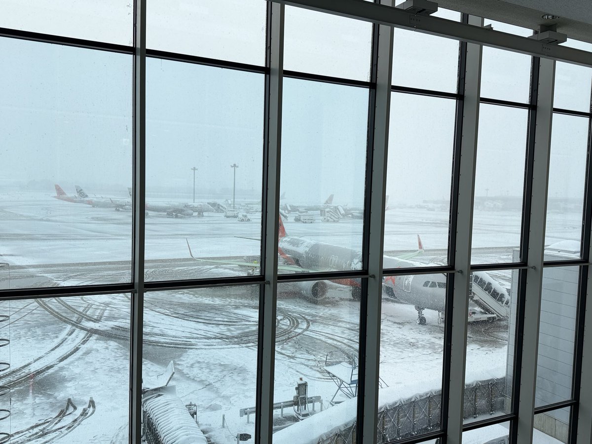 司鳳【ES_隆中閣】故事系VTuber tweet media