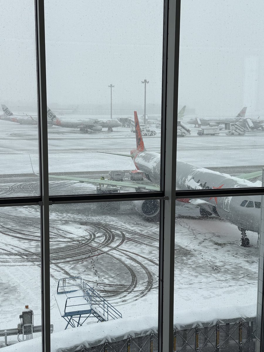 司鳳【ES_隆中閣】故事系VTuber tweet media