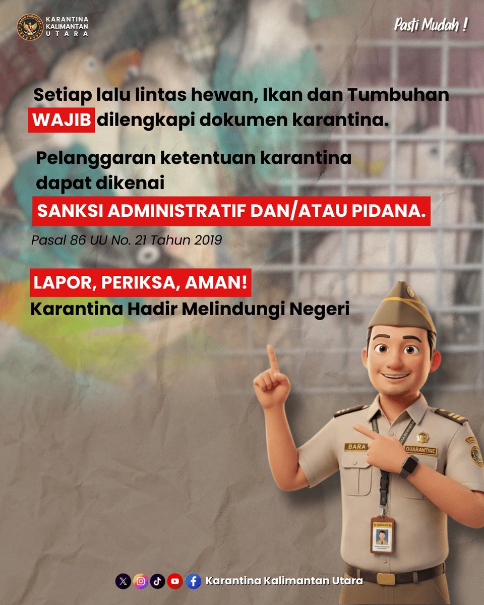 Badan Karantina Indonesia melalui Satpel PLBN Sebatik menahan 20 ekor unggas hias asal Tarakan tanpa dokumen karantina saat tiba menggunakan speedboat Sadewata 02, Rabu (3/2). Tindakan ini dilakukan untuk mencegah risiko penyebaran penyakit hewan menular.

#KarantinaIndonesia
