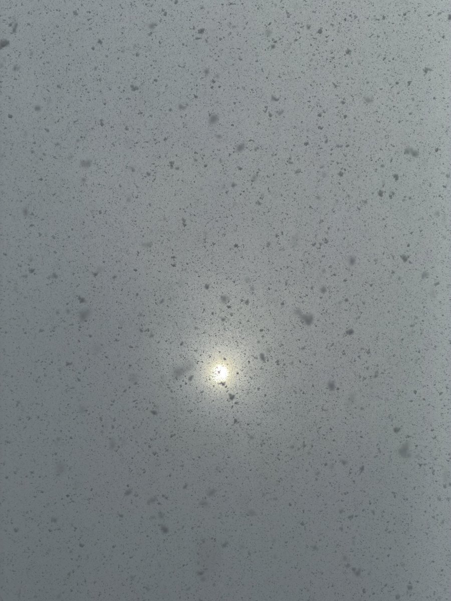 太陽
真っ白の画用紙に開けた穴だな