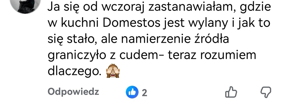 QueenFoxV's tweet photo. @trzaskowski_ Panie Prezydencie Co się dzieje z wodą w Warszawie? Śmierdzi intensywnie, zapach przypomina Domestos Mieszkańcy zgłaszają problem, a @RzecznikMPWiK  nie podają konkretnej przyczyny ani wyjaśnień. Prosimy o jasną i oficjalną informację🥺 https://t.co/hLzWiJsPtV