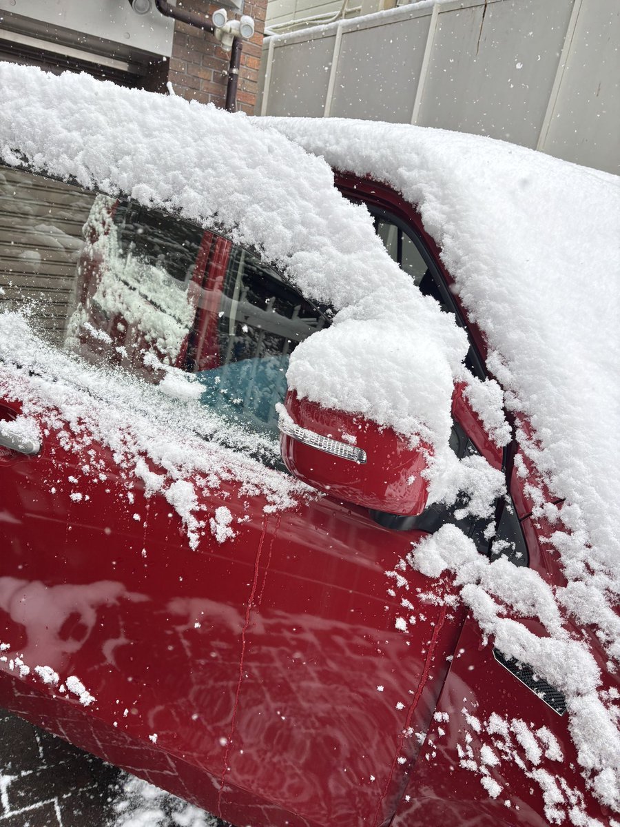 【☃️速報⚠️】
雪の影響で車のエンジンがかからないため、お店に出勤できません😱
引き続き、状況が分かり次第お知らせいたします。

#国立市☃️-2℃⚠️大雪警報発令中
#スペシャルティコーヒー #企業公式が毎朝地元の天気を言い合う