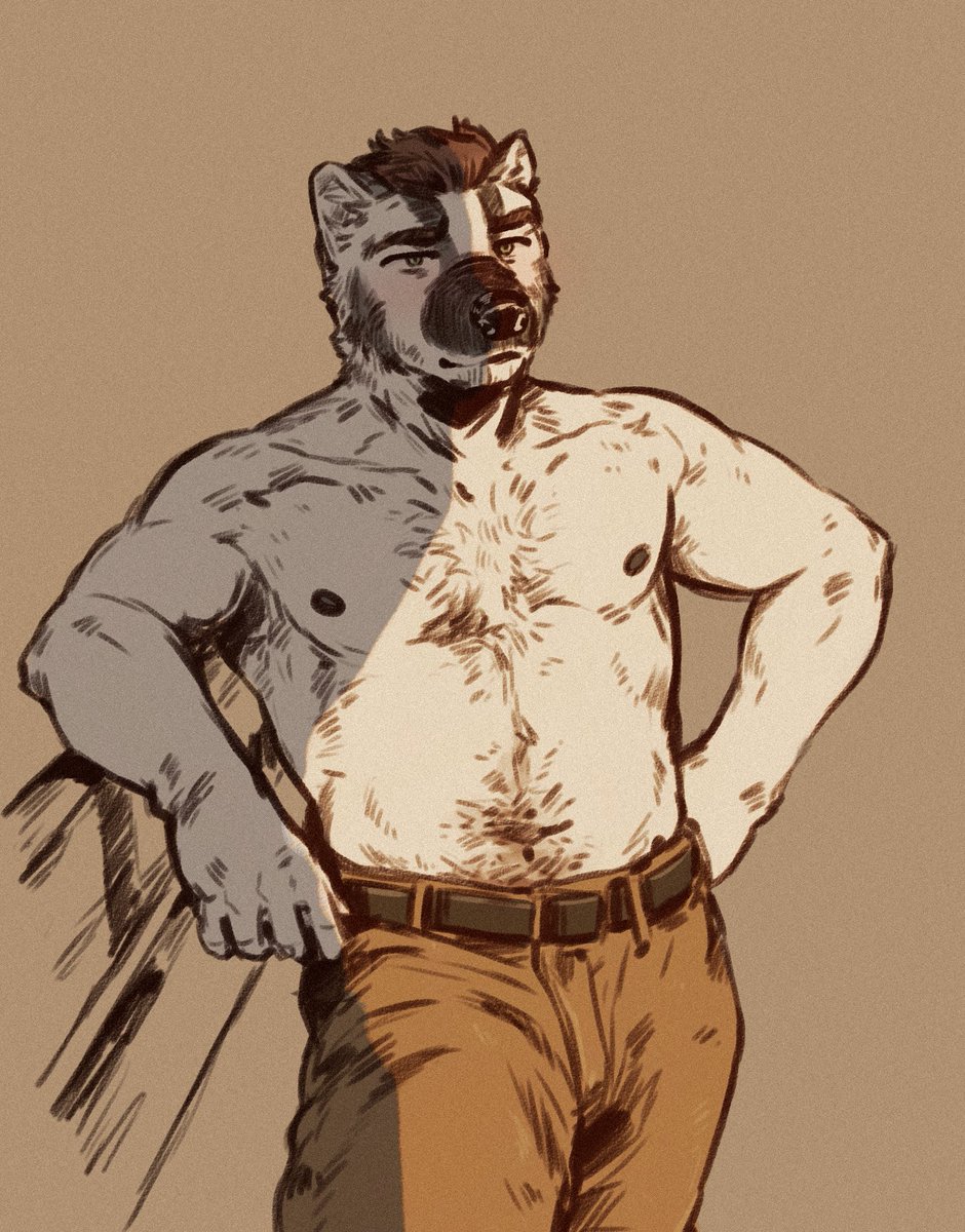 DWC Marshal Arts tweet media