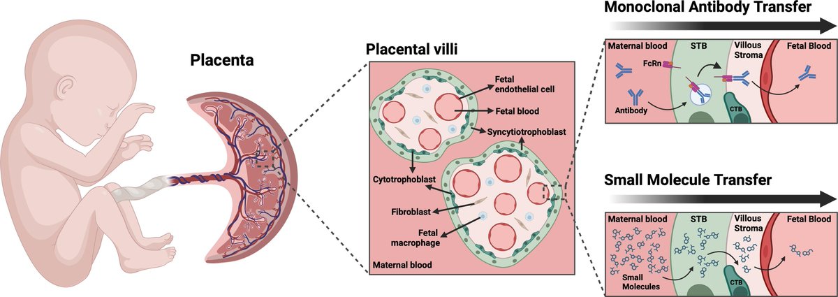 Gut Journal tweet media