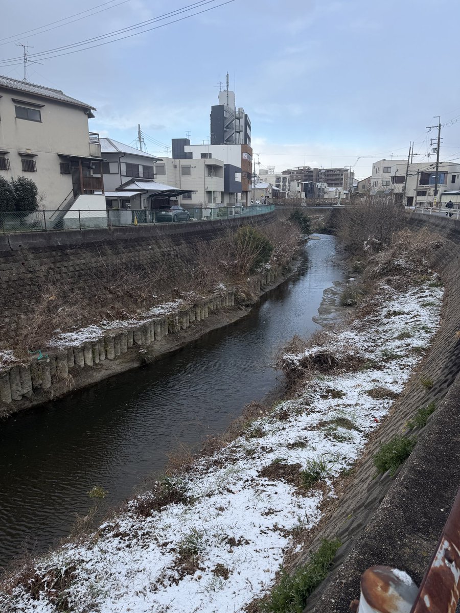 あき tweet media