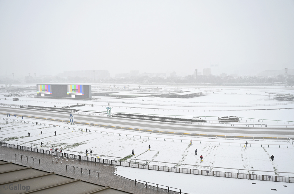 本日の開催が中止となった東京競馬場です。
芝コースの除雪作業が進められていますが、現在も雪が降り続いています。