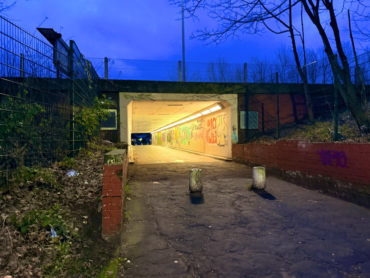 Ethan GYIP tweet media