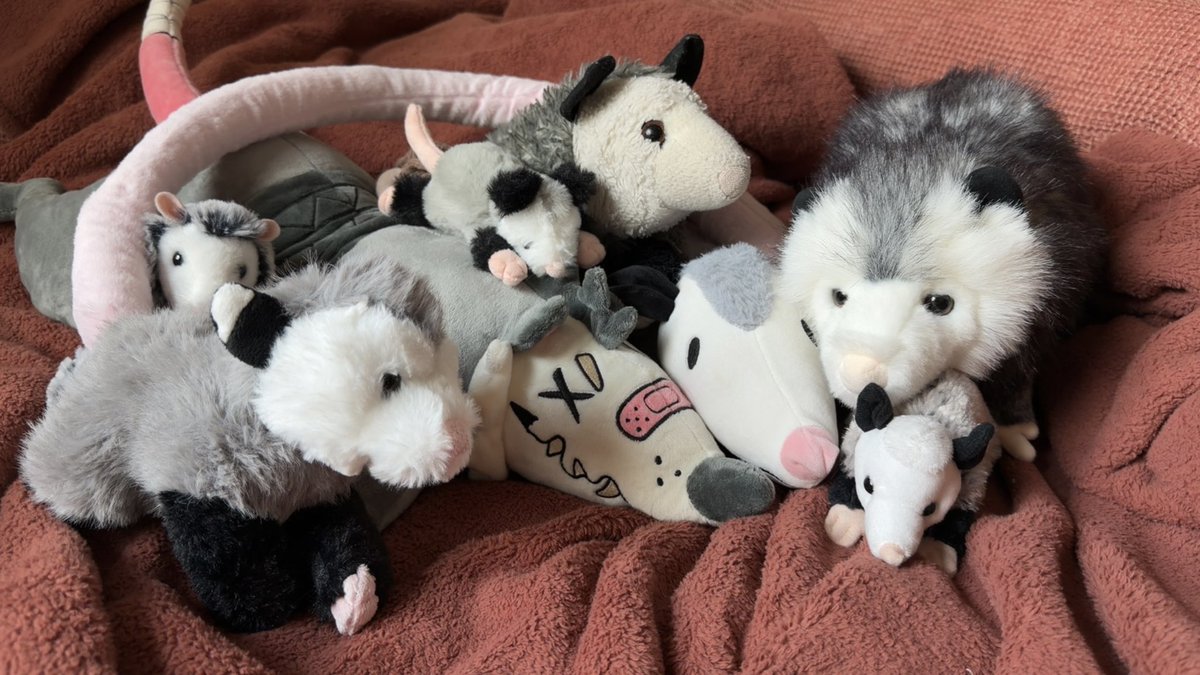little pretty possum tweet media