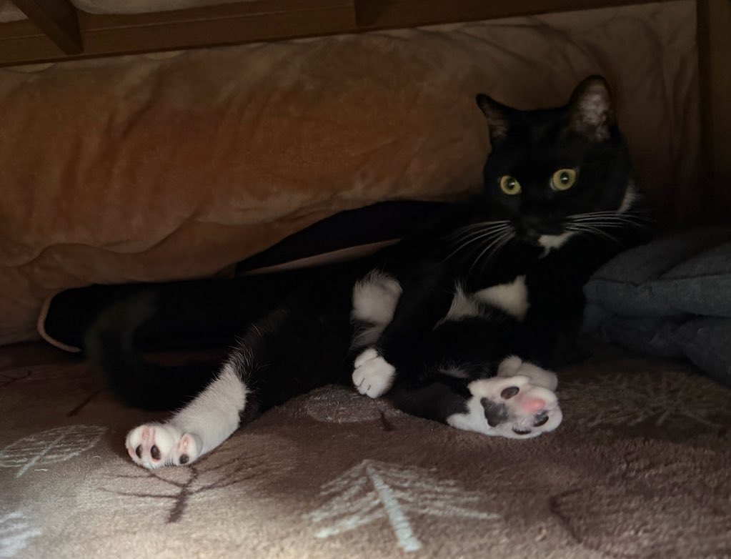 めぐみ♂ (@0625megu_mi) / Posts / X