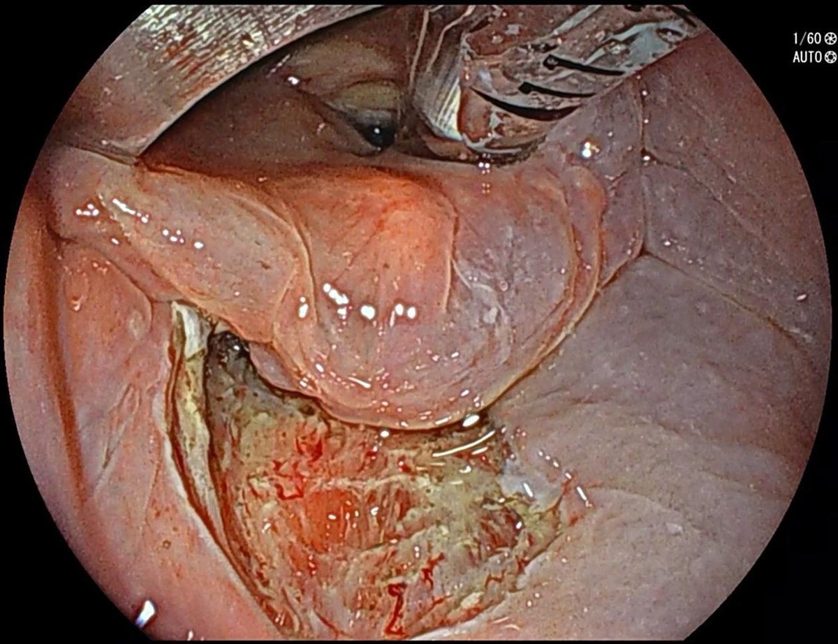 Robert Bechara tweet media