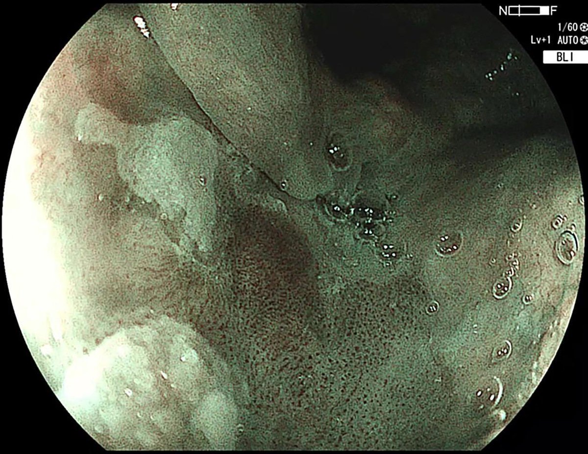 Robert Bechara tweet media