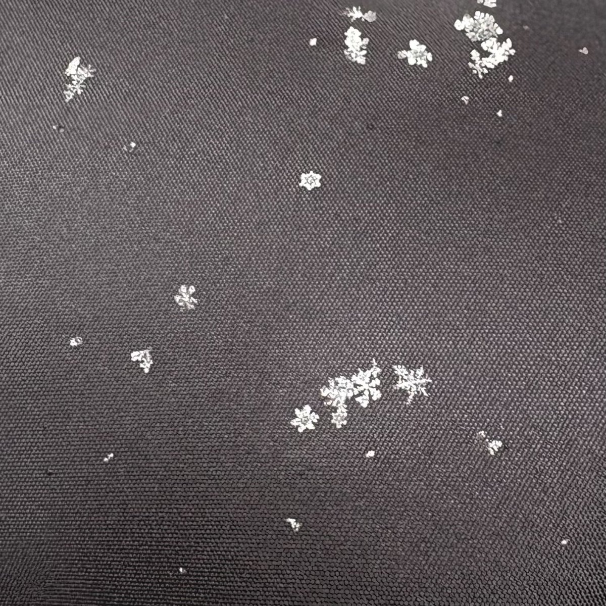 服についた雪の結晶が綺麗！！❄️✨