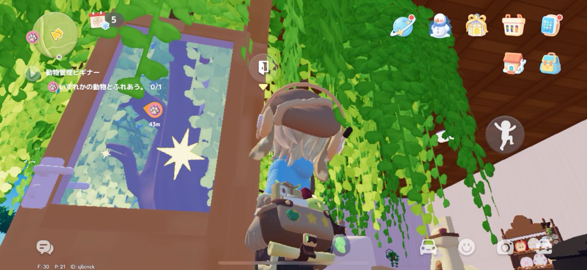 この木の建築物建物とか貫通してて面白い☺️