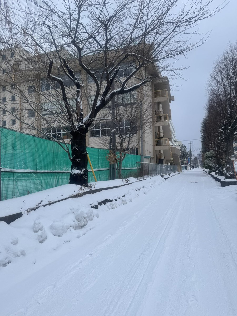 micS35814's tweet photo. 投票🗳️行ってきた😿
我が母校、何年か後には統合で無くなる🥺
まあ、自分が通った頃の木造校舎ではないが🏫😌
外に出口調査の方がいて大変だなって🥶⛄️🥶
#中通小学校
#爺の独り言 https://t.co/q0n0zzzpB5