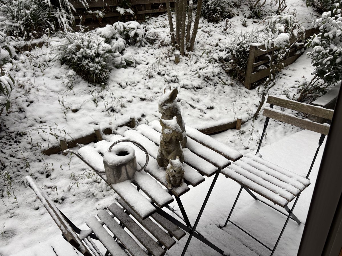 marcomplan's tweet image. おはようございます。

横浜も雪です。お出かけする皆さん気をつけてくださいね。

リプはお気軽に、良い一日を