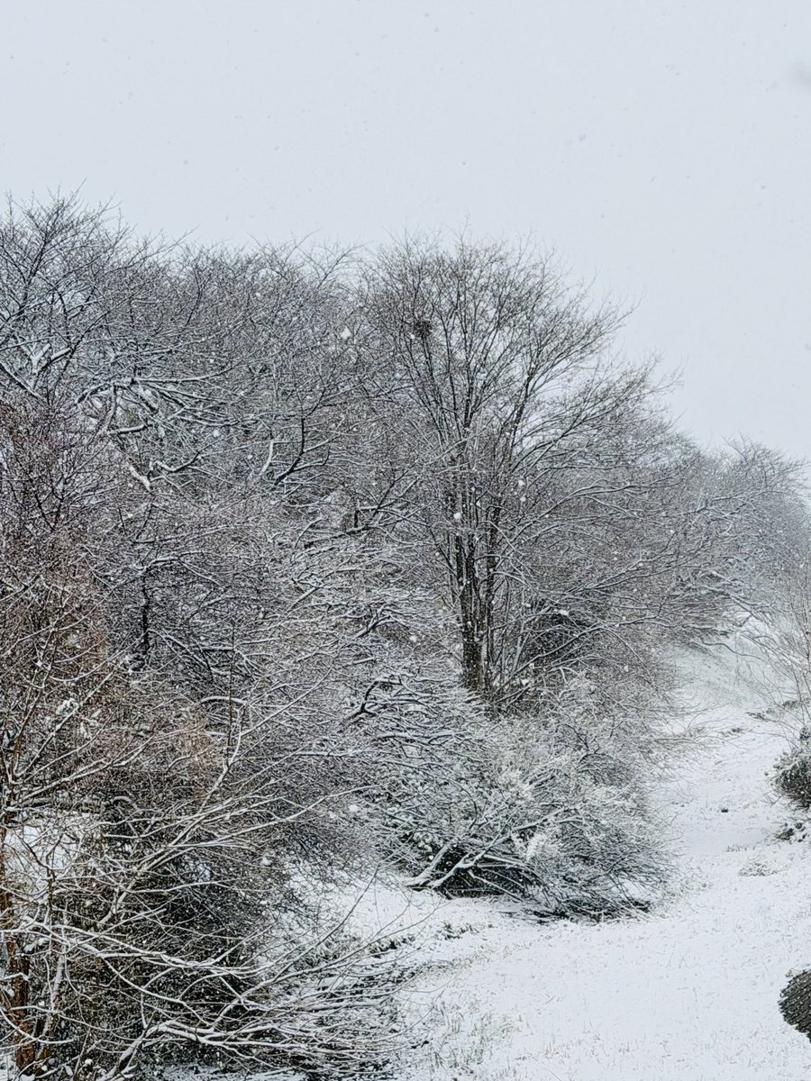何年かぶりに…NR！ 雪の上にかけたわ😁 こんなに降るととは…思わなかっ