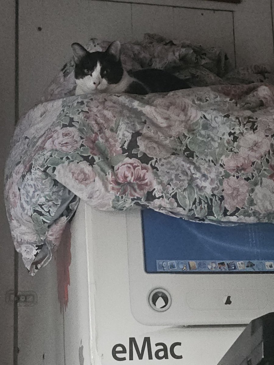 A queen on her throne,,,