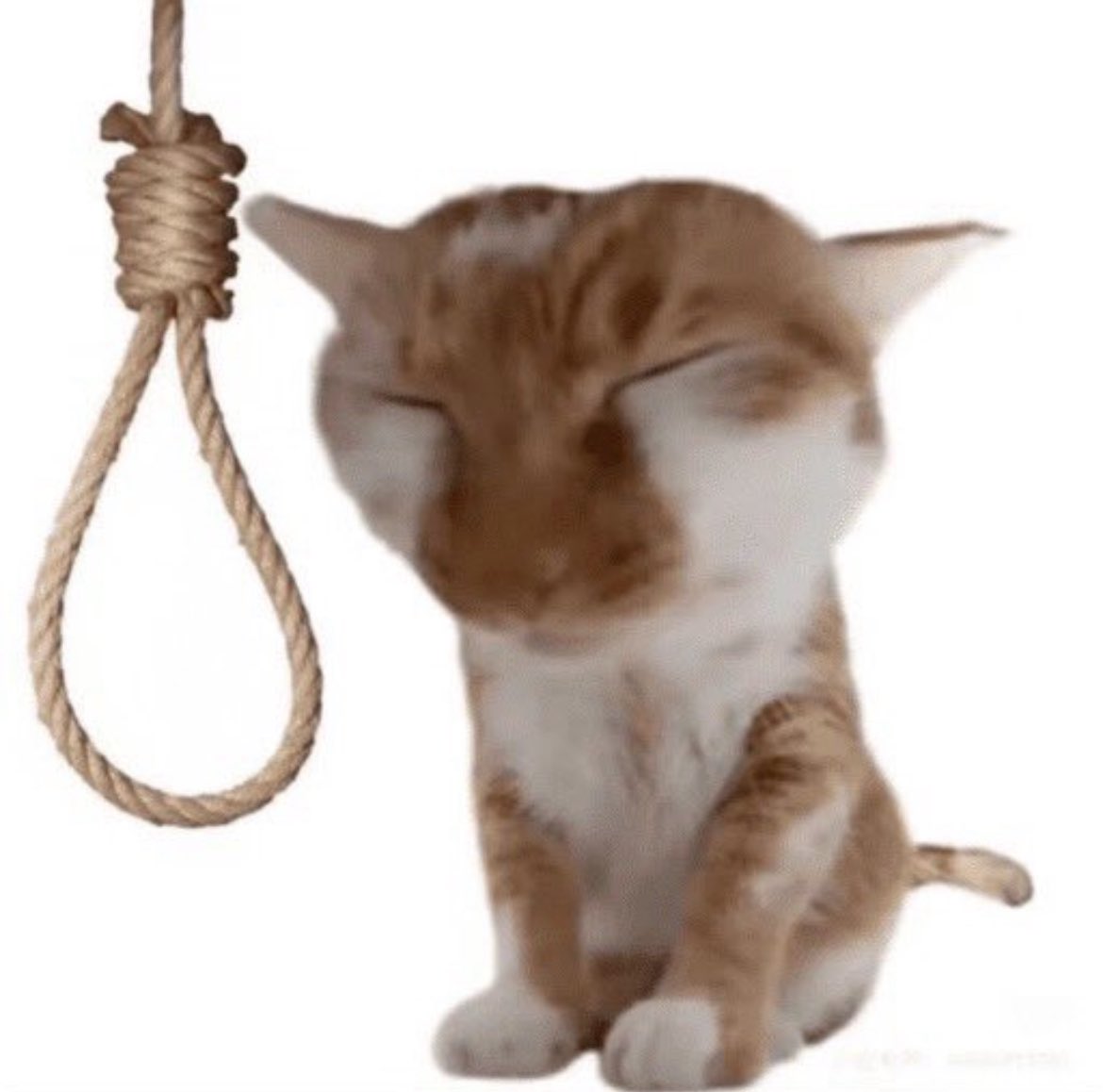 acabei de gastar 23 reais num açaí e ele nem chegou ainda e já estou arrependida de ter gastado 23 reais num açaí