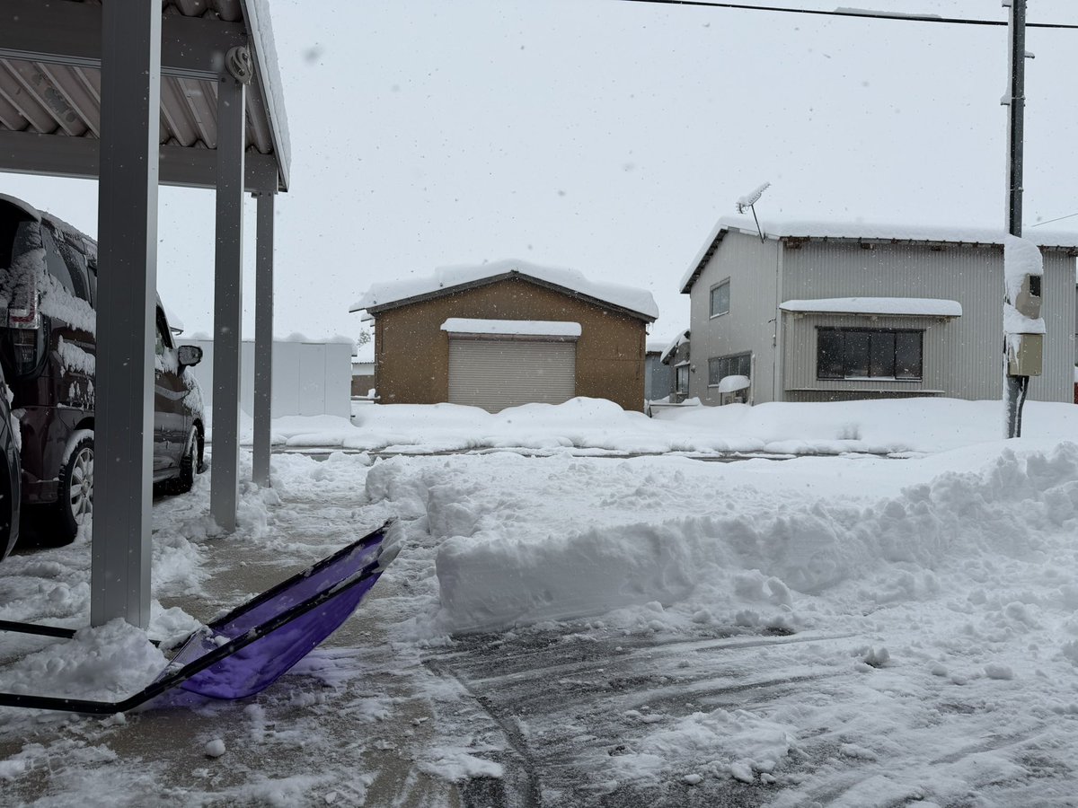 市内町部もかなり積もってる。 福野でも30センチ以上。 一汗かきました。