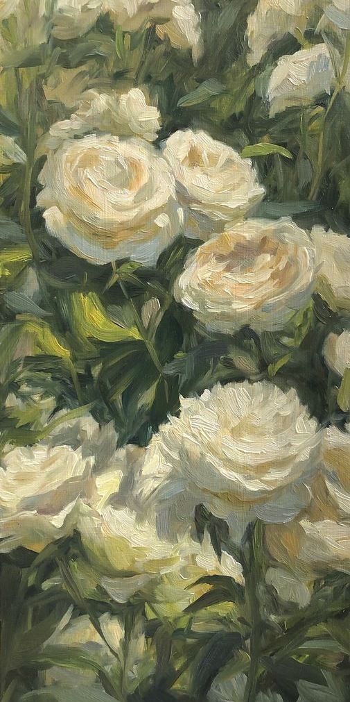 greenvibe's tweet image. 