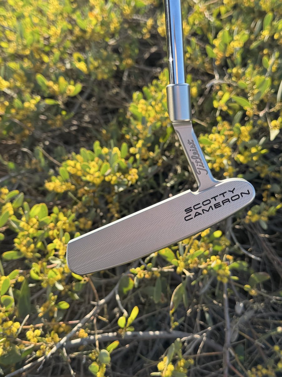 saviorofCal's tweet photo. It will never cease to amaze me that Titleist allowed Scotty Cameron to stamp his name that large on the face of the putter. Still a beautiful design but cmon. It’s ridiculous. https://t.co/ZtDN4uLE7P