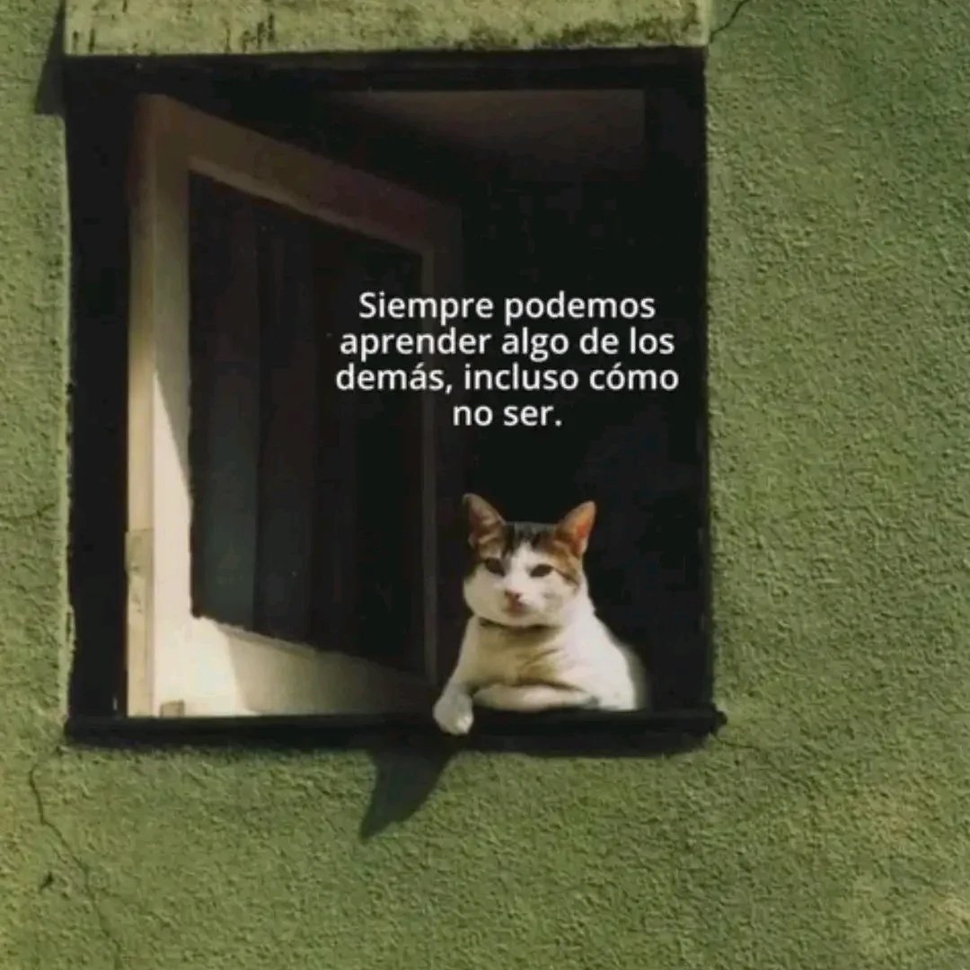 MsCiencia2's tweet photo. Cierto. https://t.co/LMGR606NQ1