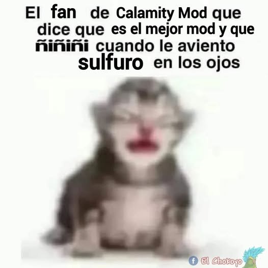 Tierraaria ES 🥀 tweet media