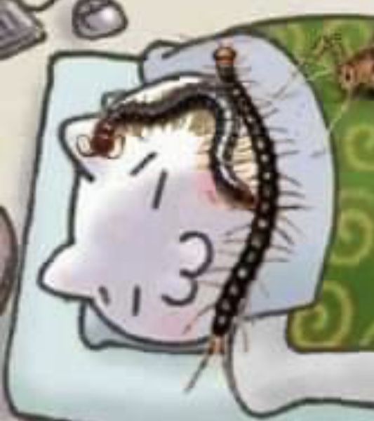 shadoomf🪲🇵🇸(homunculus enjoyer) tweet media