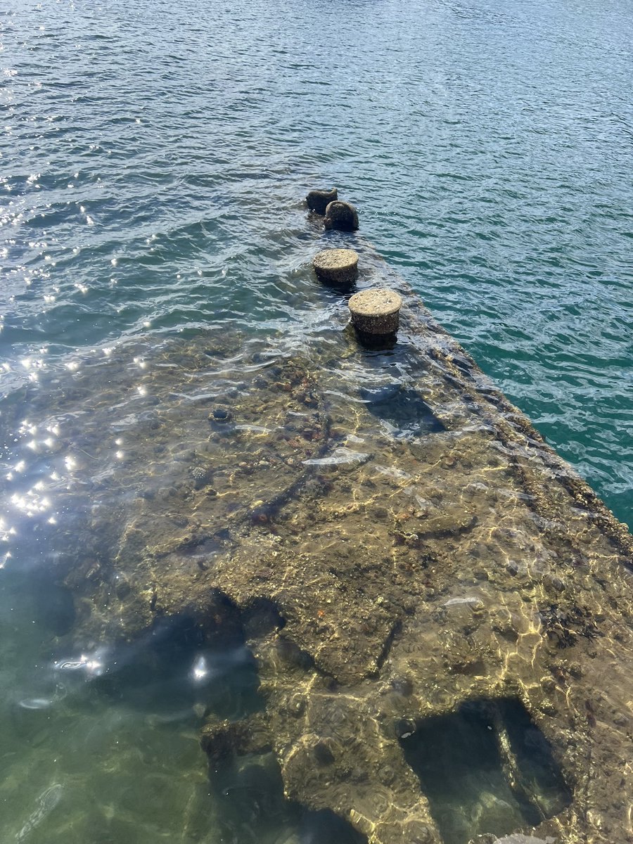 Will Galloway tweet media