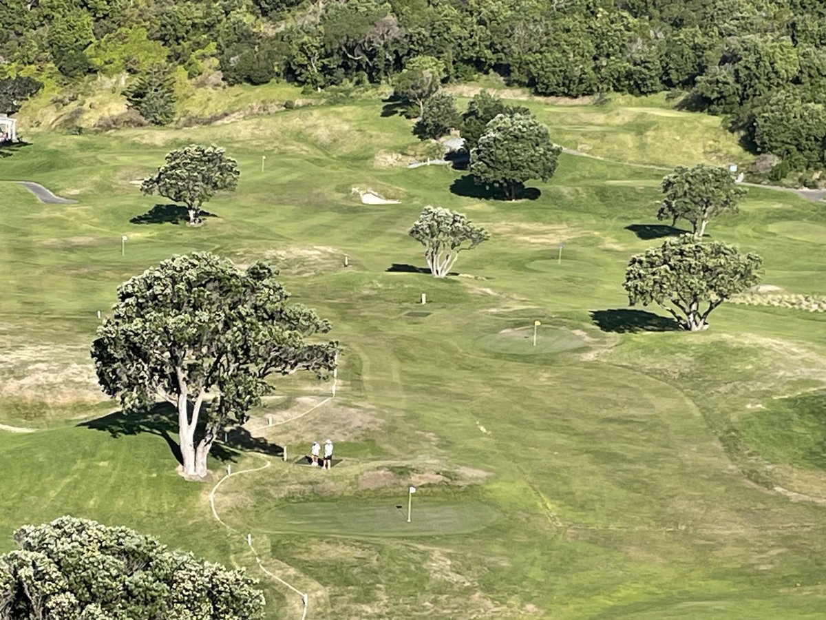 Scott Macpherson tweet media