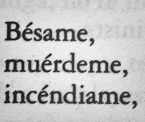 cadavérico, (@sangriocaos) on Twitter photo 