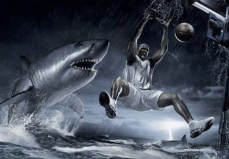 Karttoze tweet media