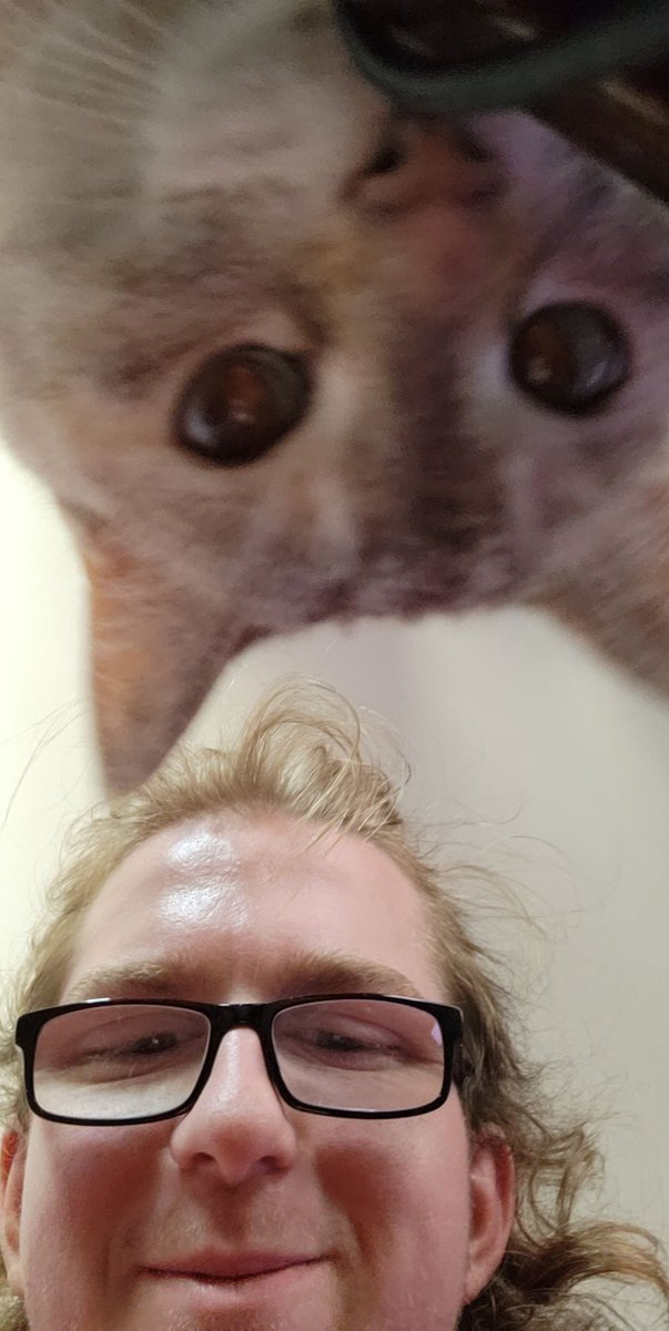 Cort1and's tweet photo. Until we meet again 💔
R.I.P Suki 02.09.09 - 07.02.26 https://t.co/Lio9OFEUHe