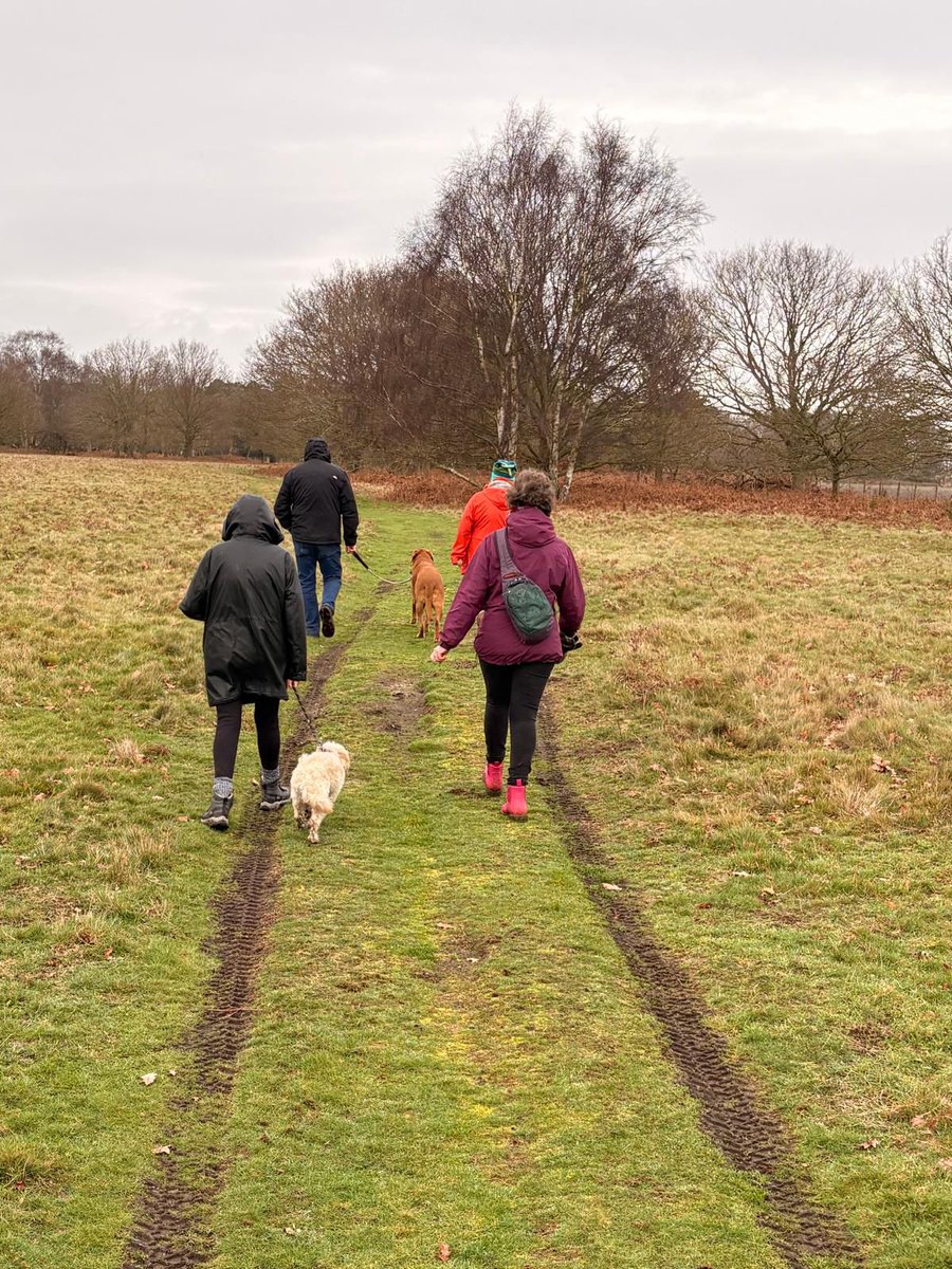 The Beyond Recovery Project tweet media