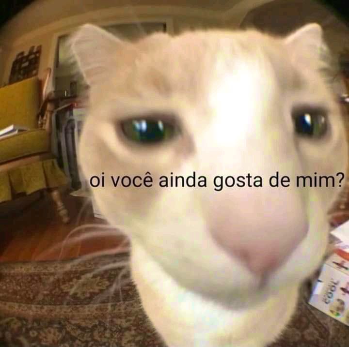 willwill 🚨 (@iamwillwill) on Twitter photo 