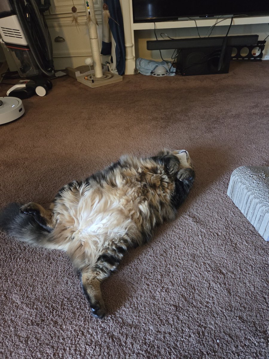 HellionTuck tweet media