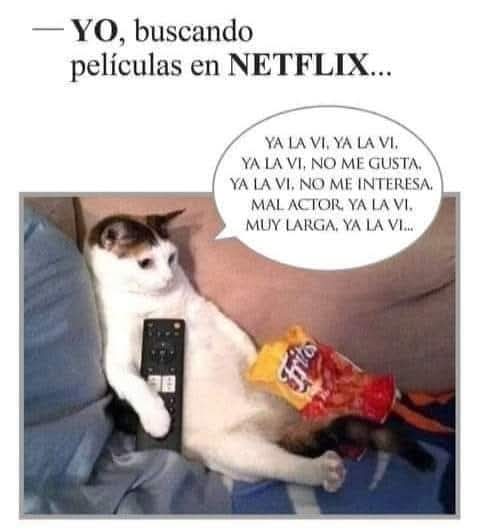 Cada fin de semana 🤣