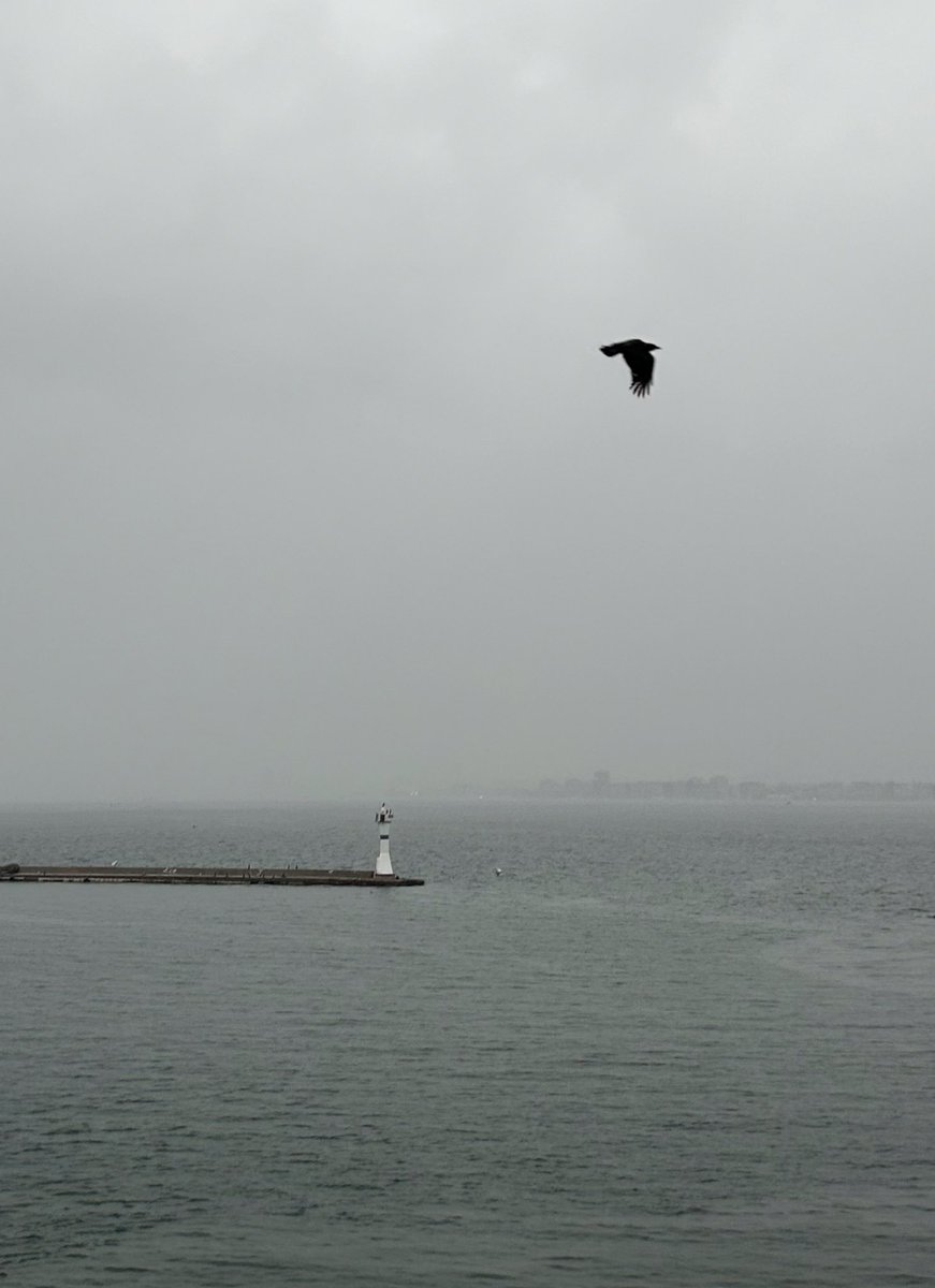 “Sonra çıkıyorsun dışarı,
bakıyorsun güneş hala tepede.
Yıllardır kurduğun cümleyi bilmem kaçıncı kez kuruyorsun:
“Ne yapalım, kısmet değilmiş…”
Sabahattin Ali 

#izmir #kordon 📸💙💙