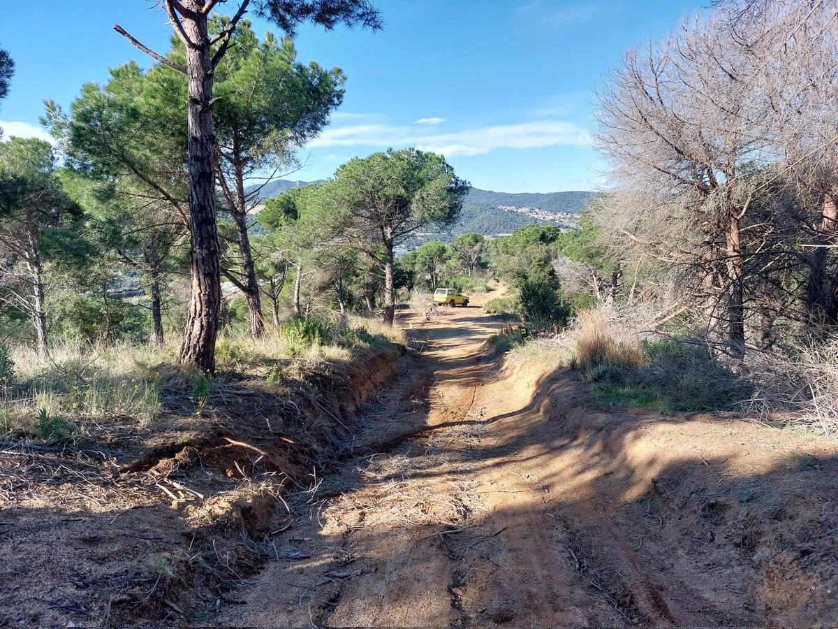 #Argentona | Servei de medi ambient <a href="/ajargentona/">Ajuntament Argentona</a> ens avisa de dos arbres caiguts en un camí del #PPI que dificulten parcialment el pas a vehicles. Ens dirigim al lloc, tallem i retirem els arbres caiguts, i deixem la pista totalment transitable #adfcat #prevencióIF